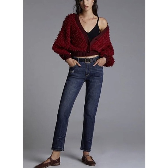 Anthropologie Denim - PILCRO Anthropologie The Heritage Boyfriend Jeans Size 30 NWT